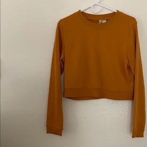 Mustard Cropped Sweater